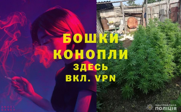 каннабис Алексеевка