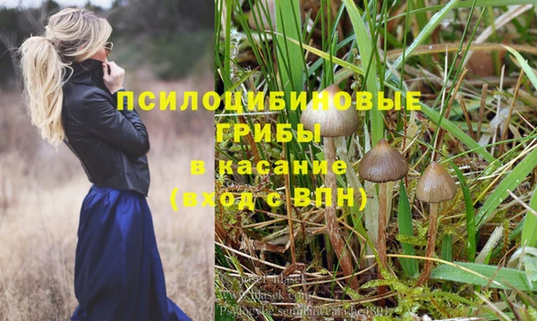 таблы Алексин