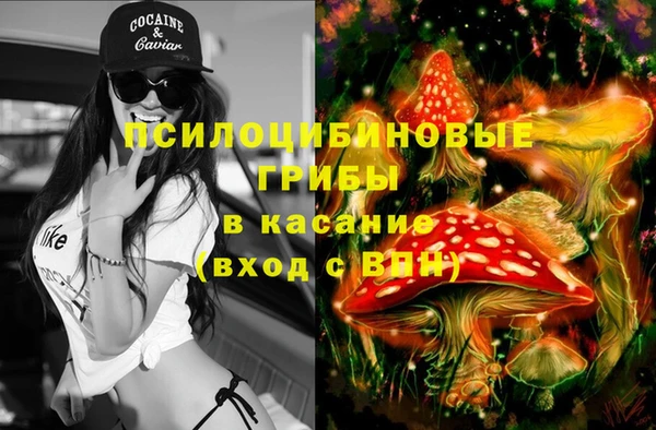 круглые Алзамай