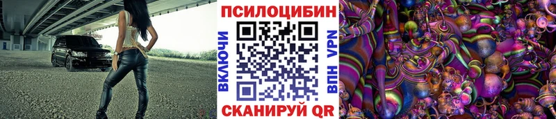 наркота  Заинск  Галлюциногенные грибы мицелий 